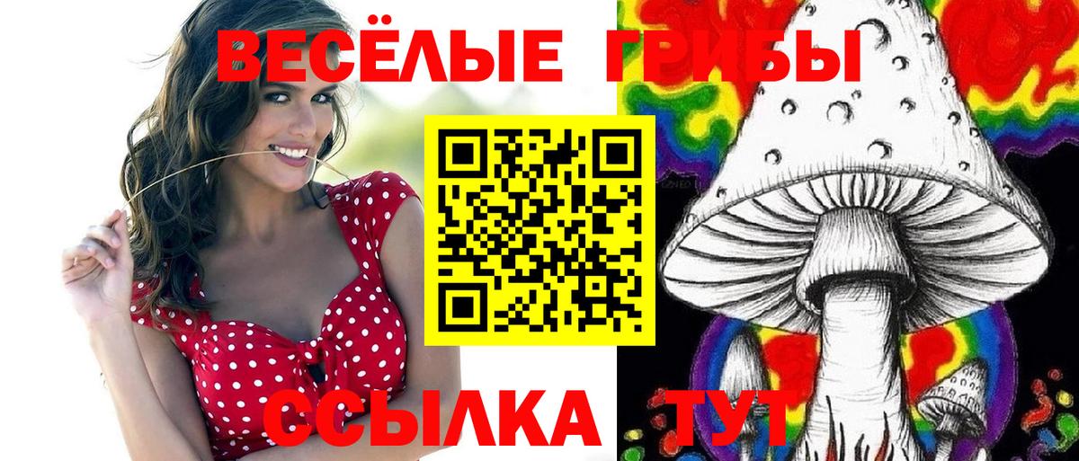 Псилоцибиновые грибы Psilocybe  как найти закладки  Екатеринбург  Псилоцибиновые грибы GOLDEN TEACHER  Вход с VPN 